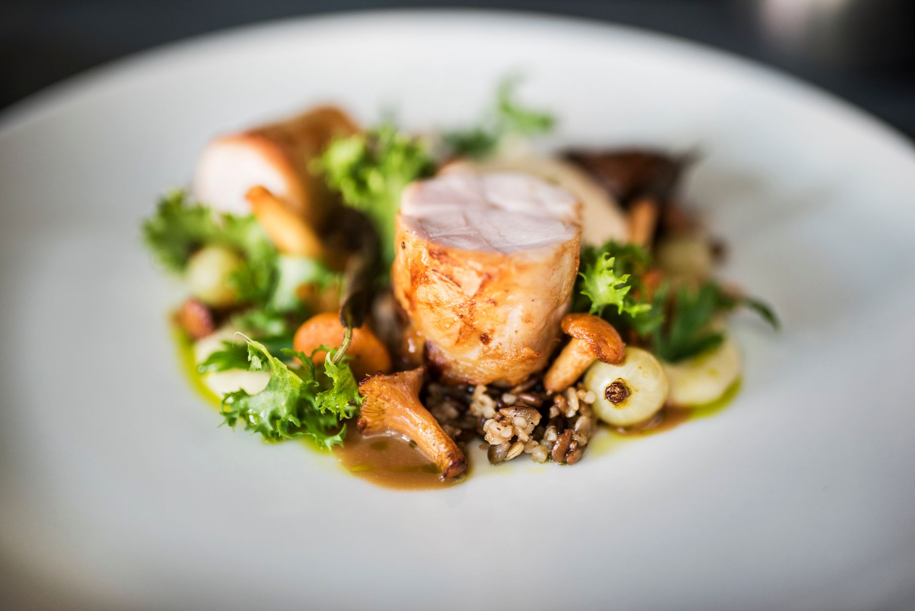A plated main course